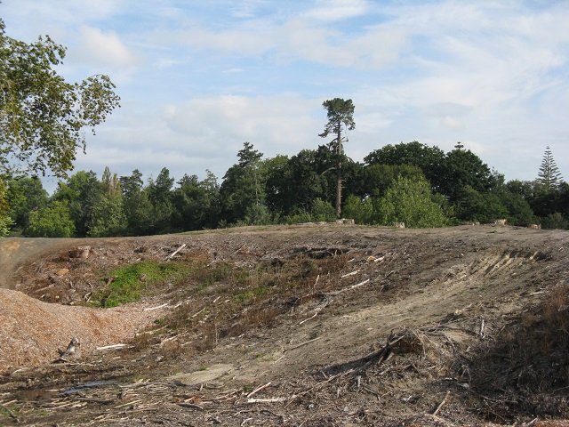 Laying out the loop track 6. Cambridge Tree Trust